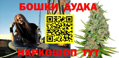 индика Балаково