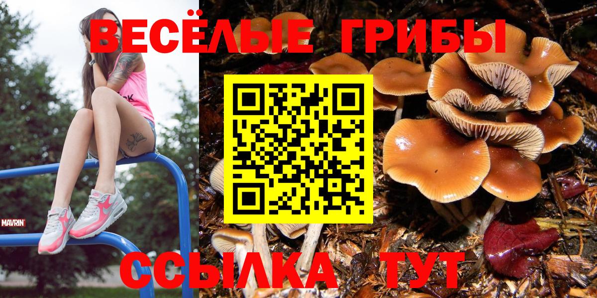 Псилоцибиновые грибы Psilocybine cubensis  Псилоцибиновые грибы MAGIC MUSHROOMS  Вход с VPN  Бугульма 